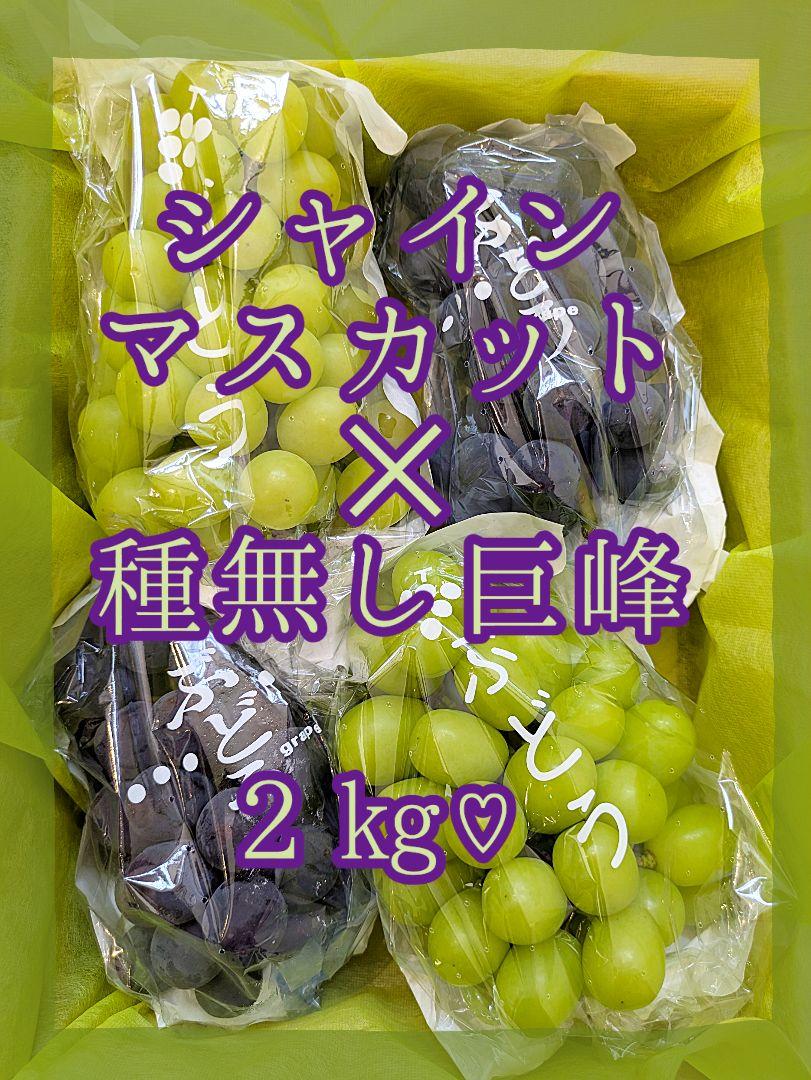 moeページ！種無し巨峰3房シャインマスカット3房 シャイン