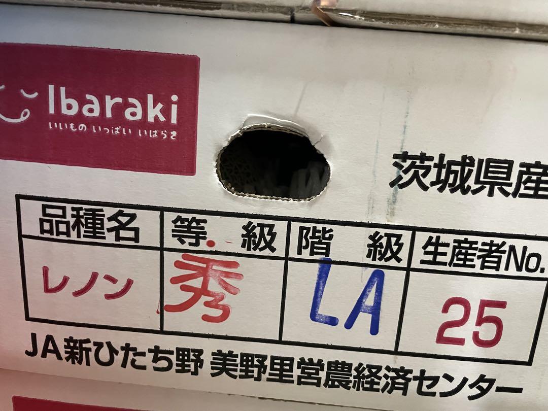メロンの生産量日本一！　茨城県産　高級赤肉メロン　レノンメロン　6玉セット　秀品