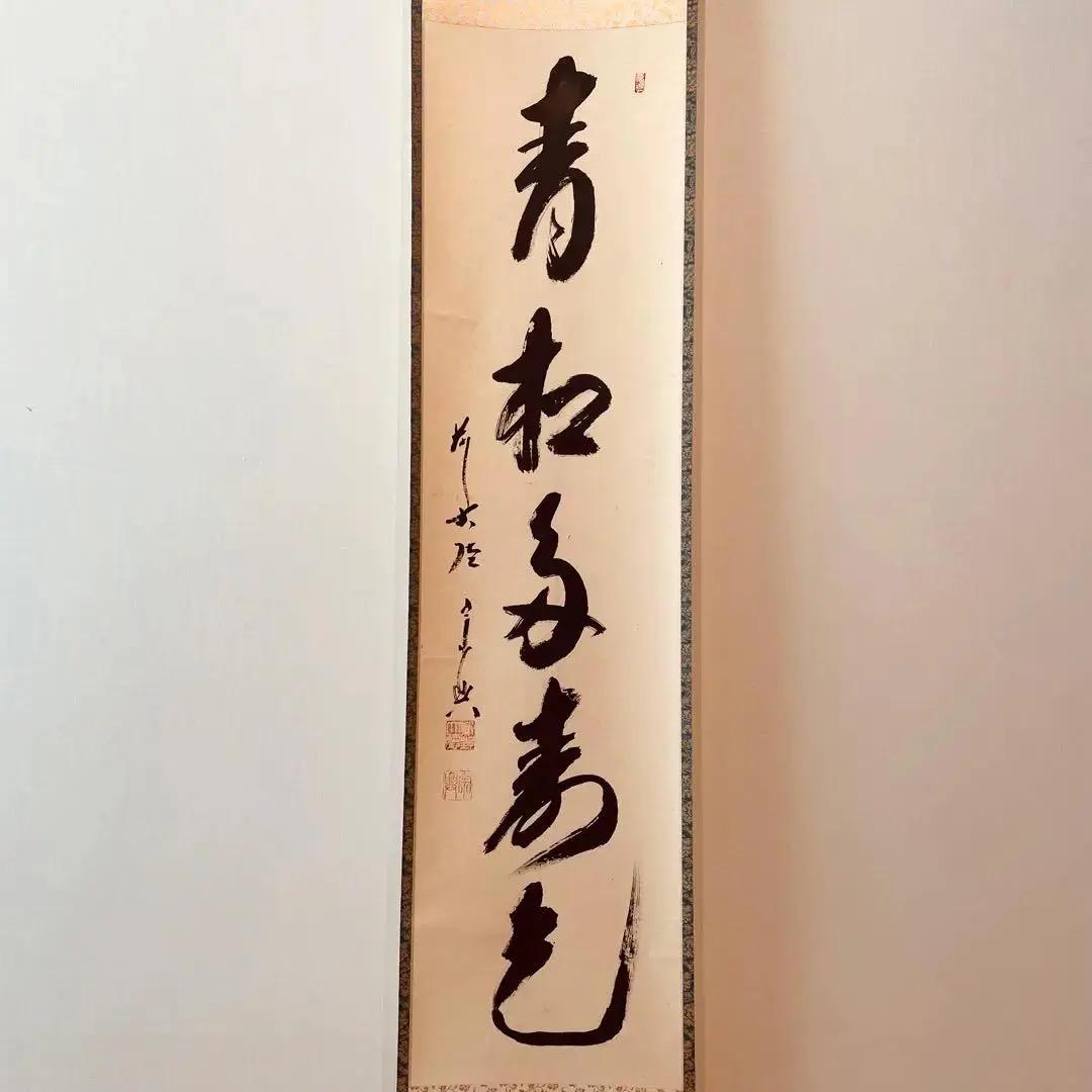 1110 藤井誠堂「美人画」共箱 日本画 掛軸 臨済宗 大徳寺 1110 藤井誠堂「美人画」共箱 日本画 掛軸 臨済宗 大徳寺 - メルカリ