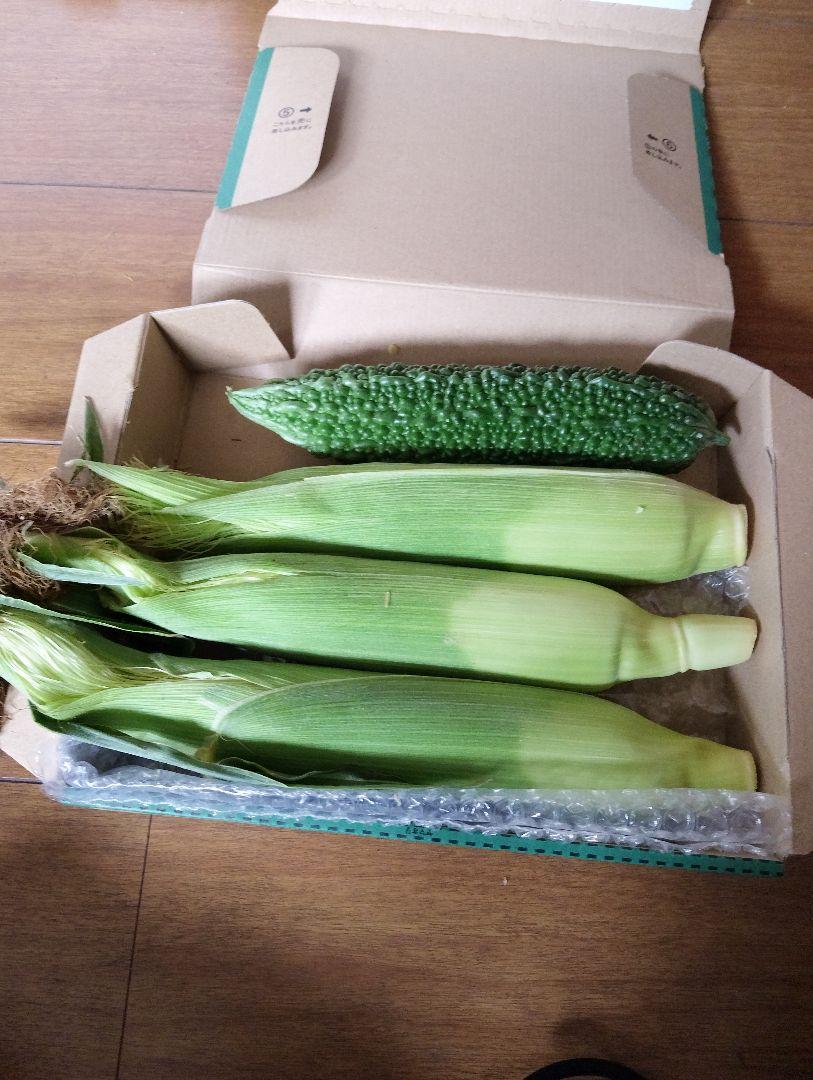 新鮮野菜セット（ゴーヤ、ナス、トマト等） - メルカリ