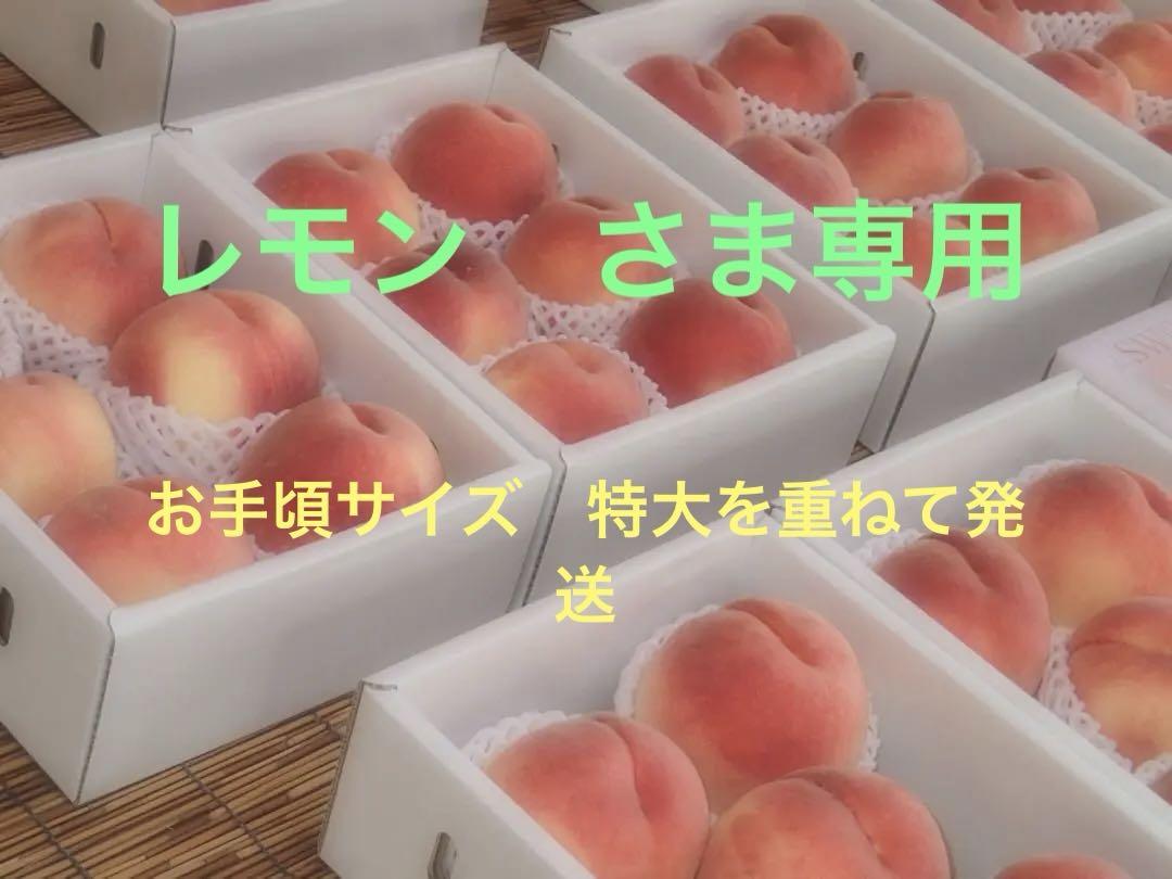 山梨の甘い桃　お手頃サイズを6個詰めて発送　人気商品　ももやのきよし