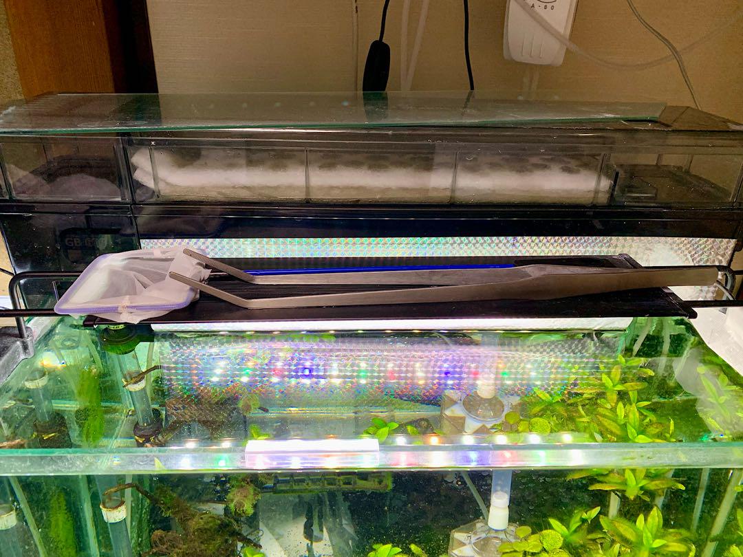 や*ま様 60cm、30cm水槽アクアリウムセット