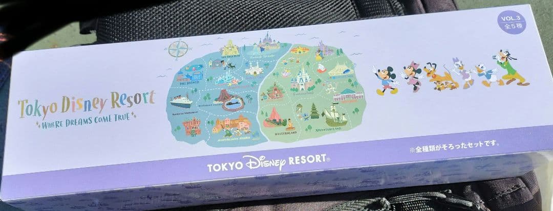 ディズニー　ぬいぐるみチャーム 第3弾コンプリート ウェアドリームスカムトゥルー