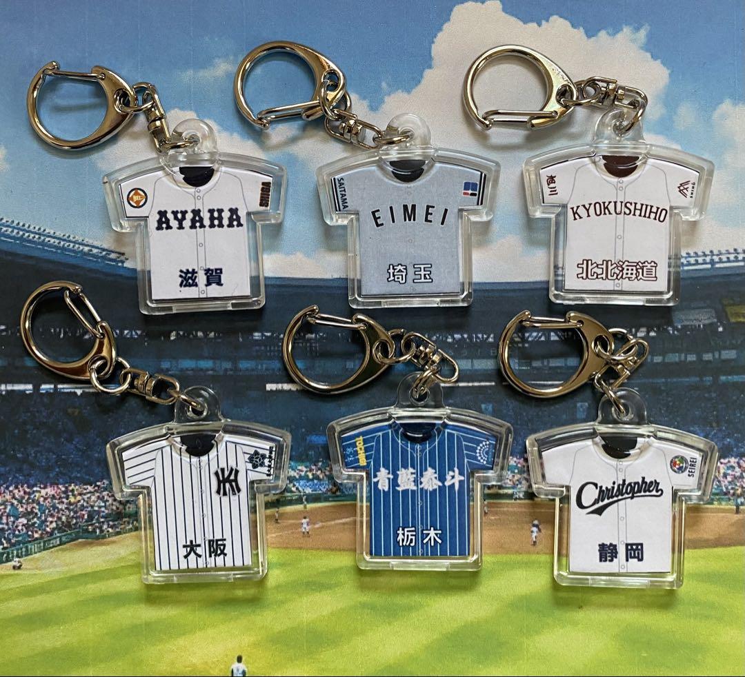 第107回全国高校野球選手権大会記念キーホルダー【未来富山