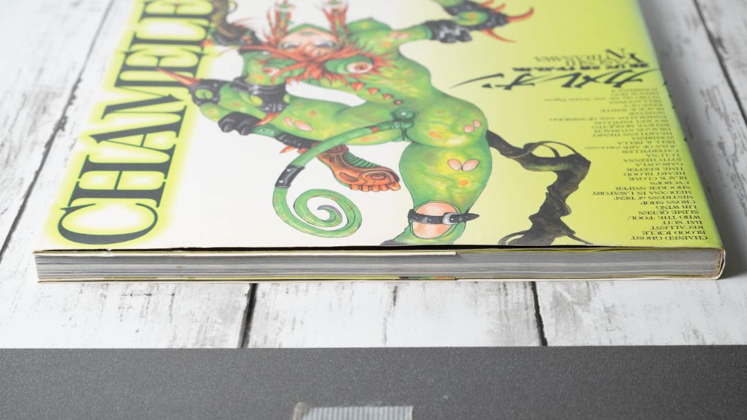 即納】 韮沢靖作品集 カメレオン Amazon.co.jp: 電子版 本 靖