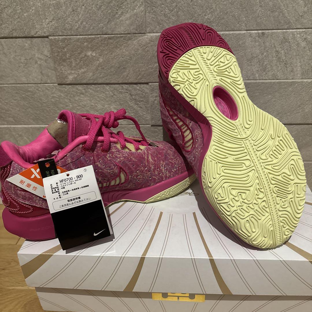 ナイキ　レブロン　Nike Lebron XXI EP