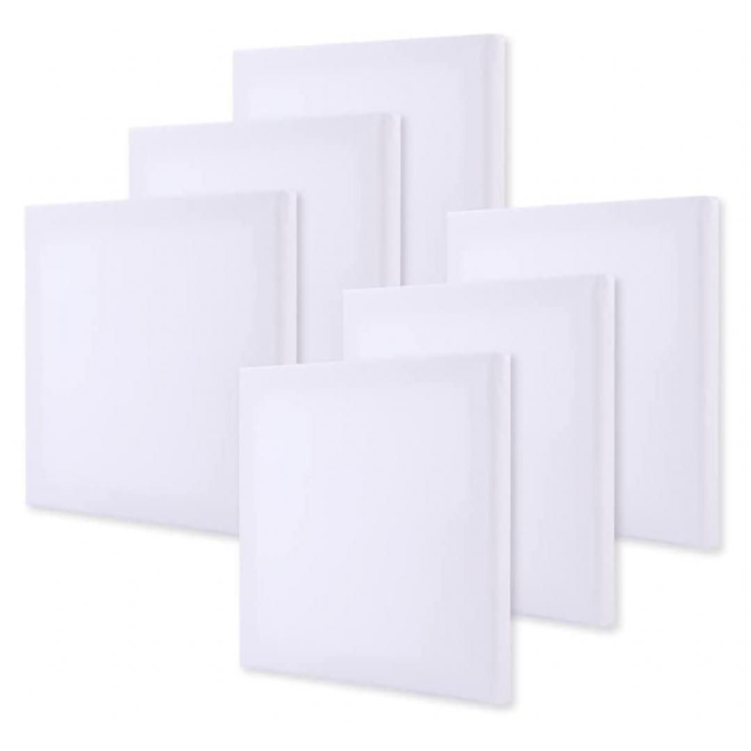 「宜しくお願いします」様専用　キャンバス ６個入り×30個