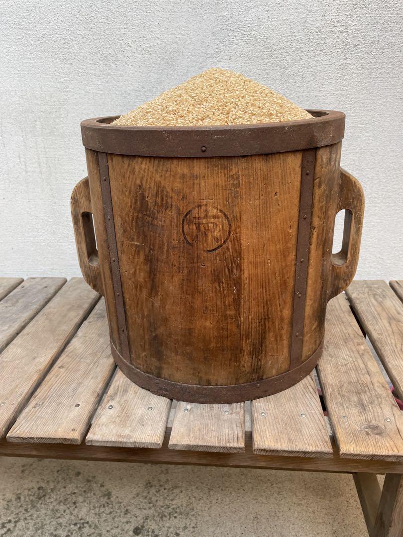 令和6年産　山城産米　ヒノヒカリ 玄米10kg