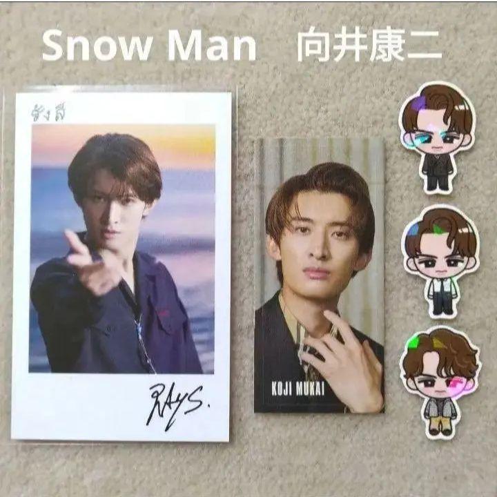 SnowMan RAYS CD特典 すのチルステッカー チェキ 向井康二 ⑬