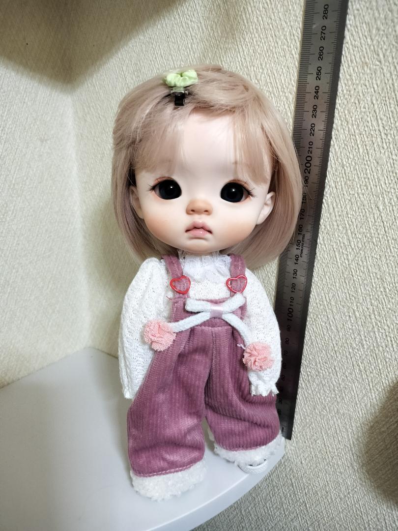 1|6 小さめ25cm