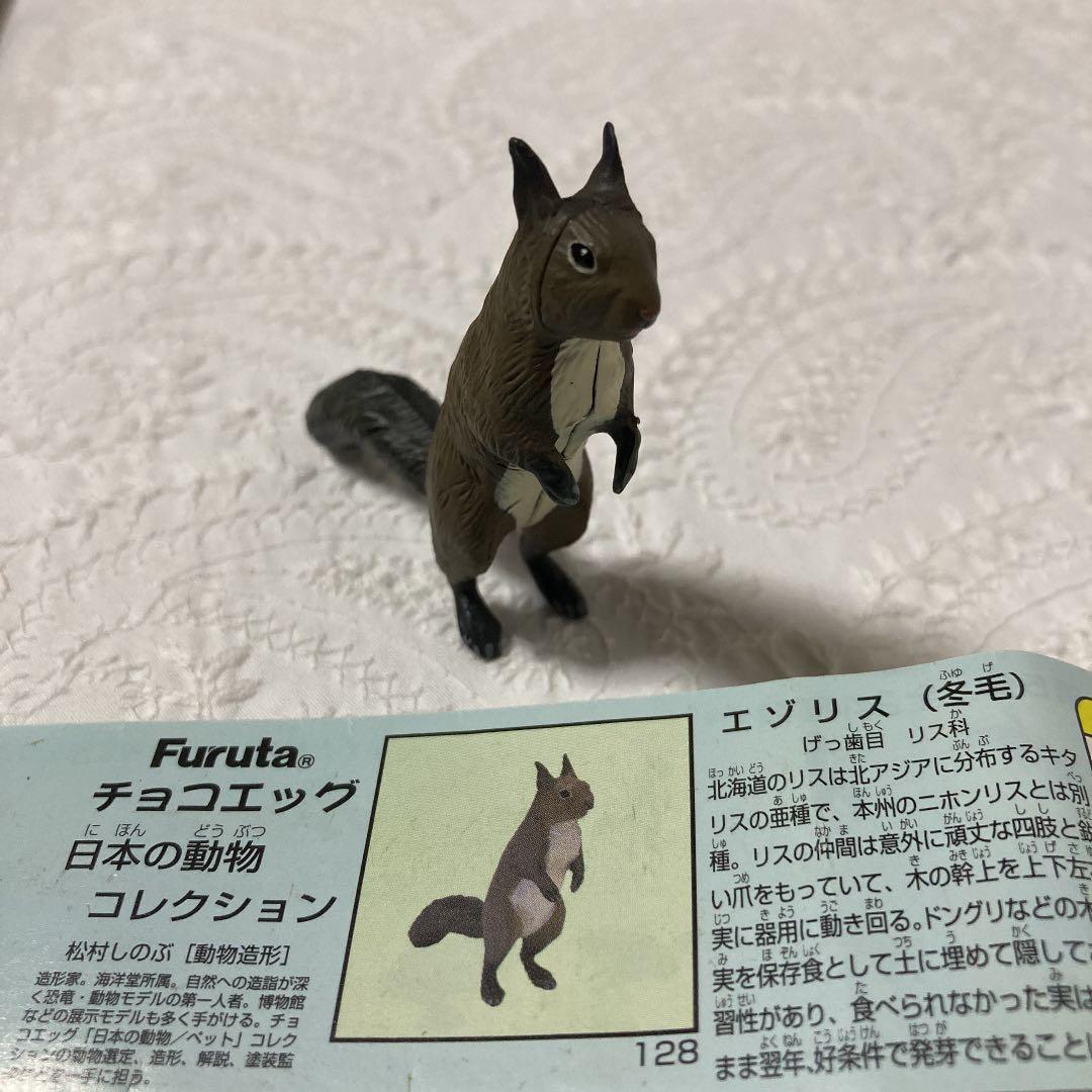 チョコエッグ 日本の動物コレクション エゾリス メルカリ