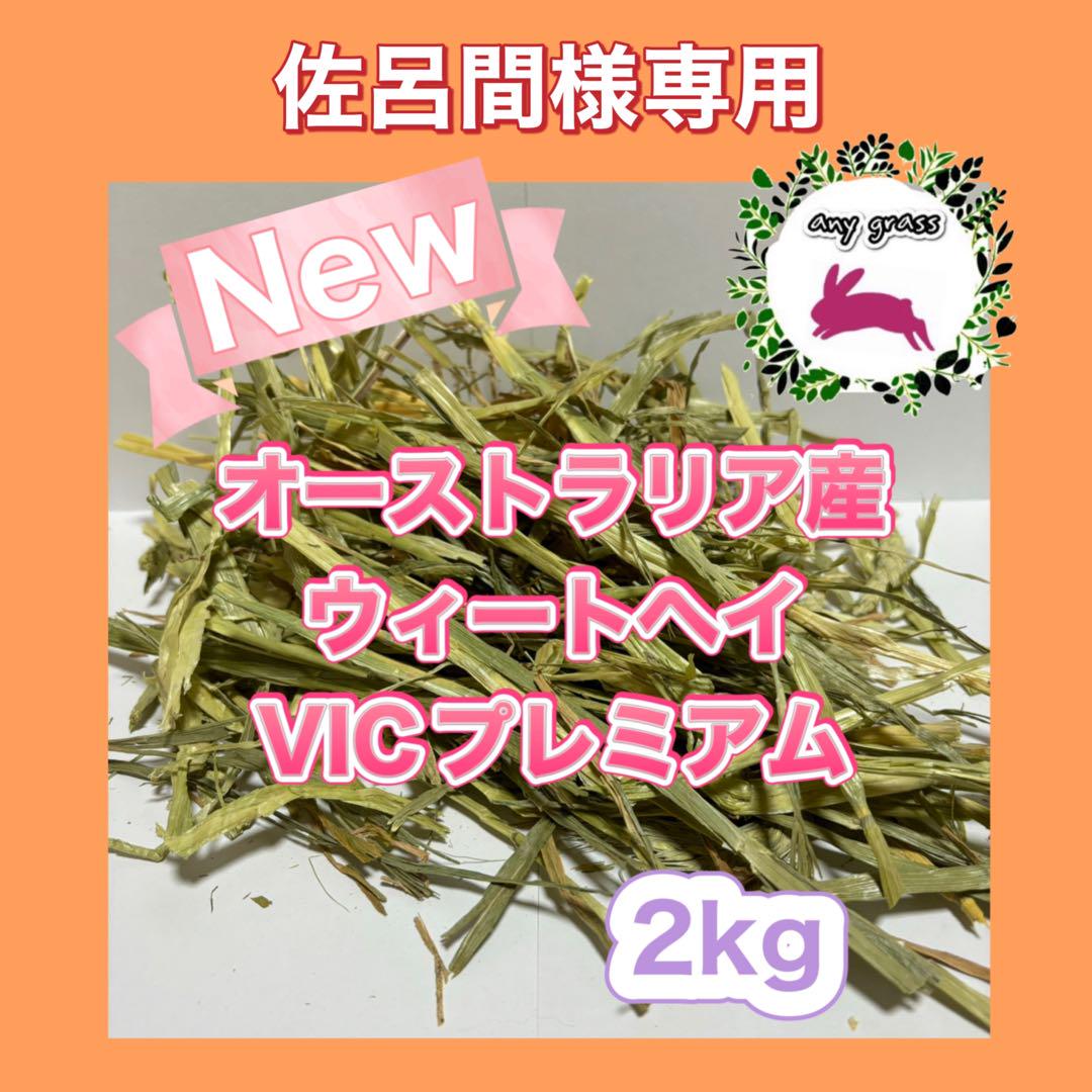 ★佐呂間様専用★オーストラリア産ウィートヘイVICプレミアム