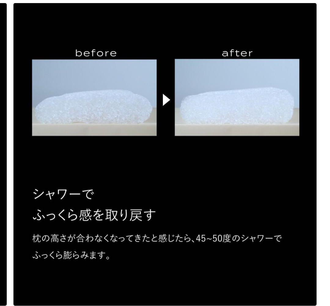 ブレインスリープピロー(STANDARD)とピローカバーのセット