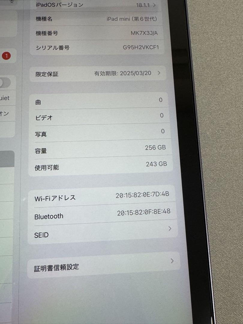 iPad
