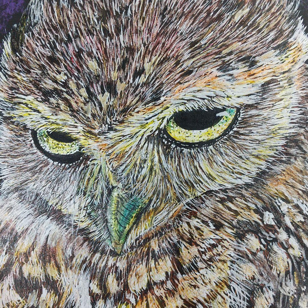 鉛筆画 色鉛筆画 ポスカ パステル ふくろうイラスト手書き原画 俺だ メルカリ