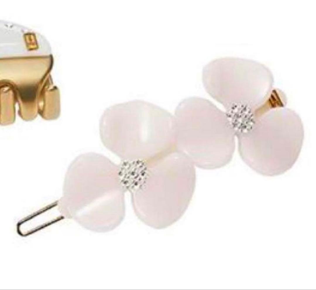 ALEXANDRE フラワーヘアクリップ SL202 2個セット 箱入りAlexandre de paris