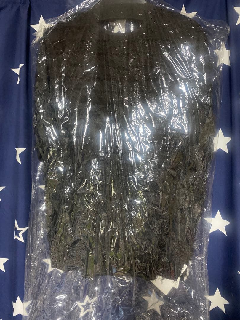 Gypsophila ジプソフィア　黒 フェザーT