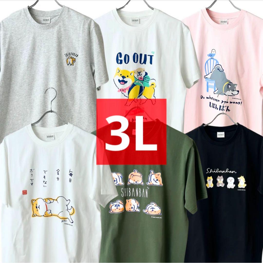 3Lサイズ　6枚セット　しばんばん　Tシャツ　柴犬　子犬　白　黒　ピンク　グレー