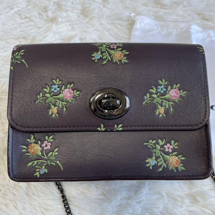 100%新品得価 美品 チェーン ショルダーバッグ ターンロック 6Q4Us-m62081944701 COACH コーチ ミニ 人気爆買い