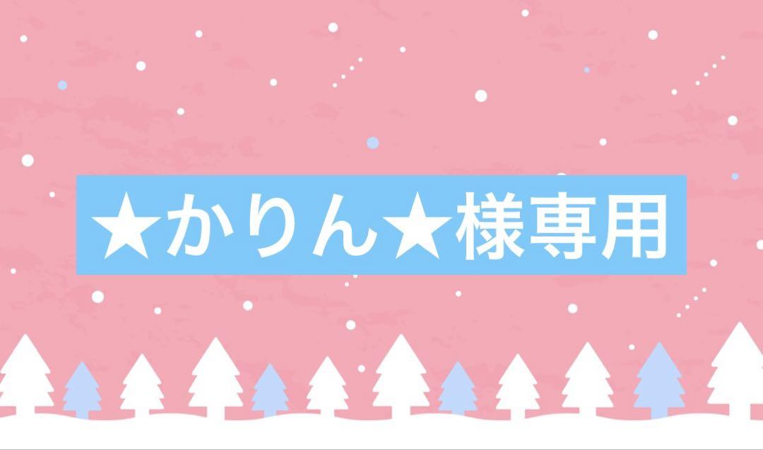 ★かりん★様専用