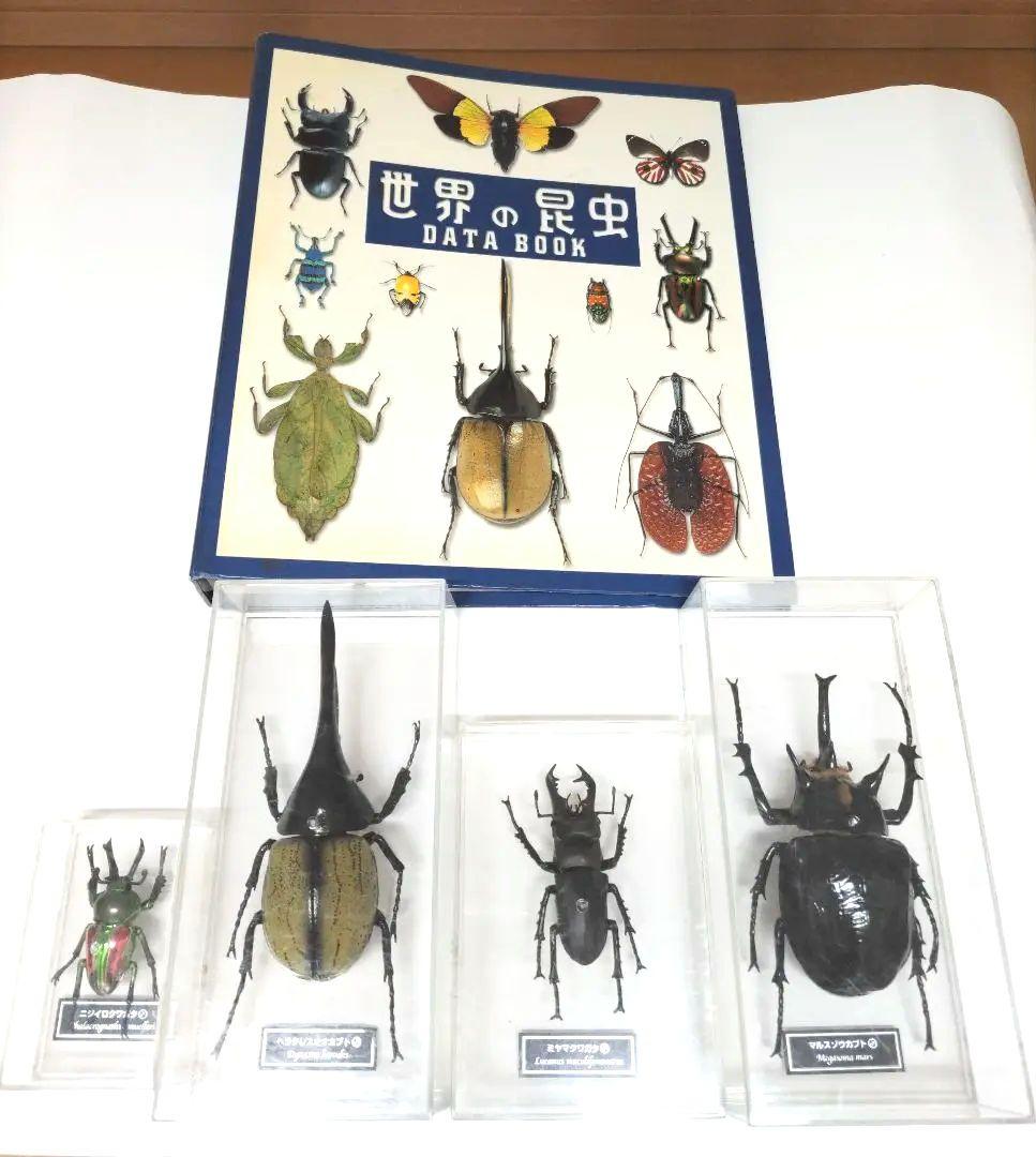 ⭐︎ディアゴスティーニ⭐︎世界の昆虫⭐︎リアルなフィギュア Amazon.co.jp: ディアゴスティーニ 世界の昆虫 フィギュア 29
