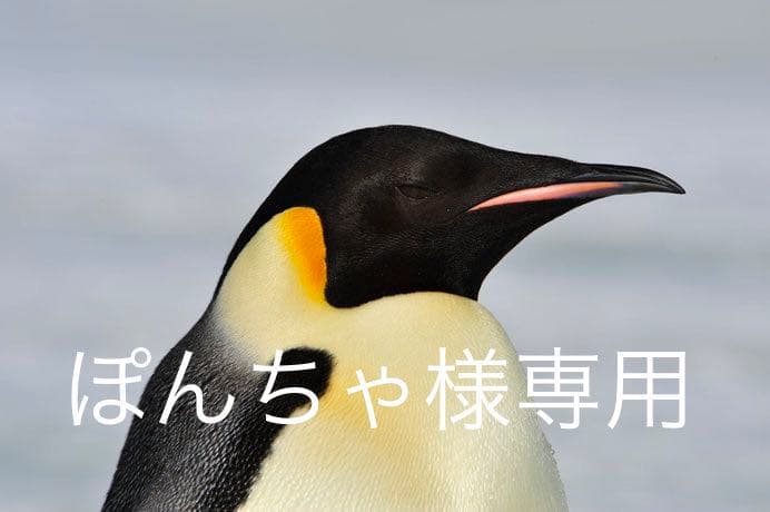 ぽんちゃ様 専用 | faculdadeuninorte.com.br