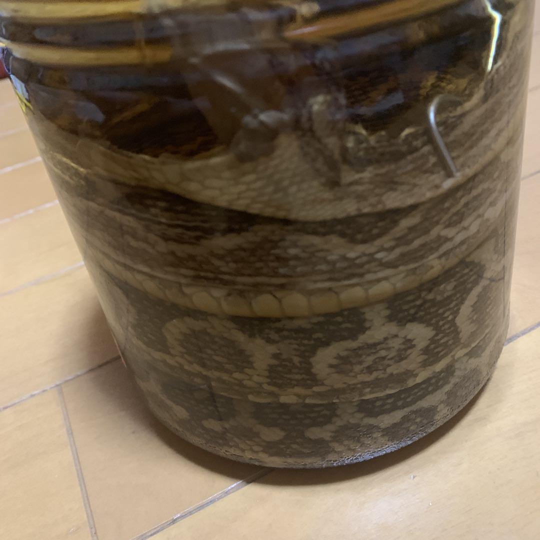 ハブ酒 1.8L