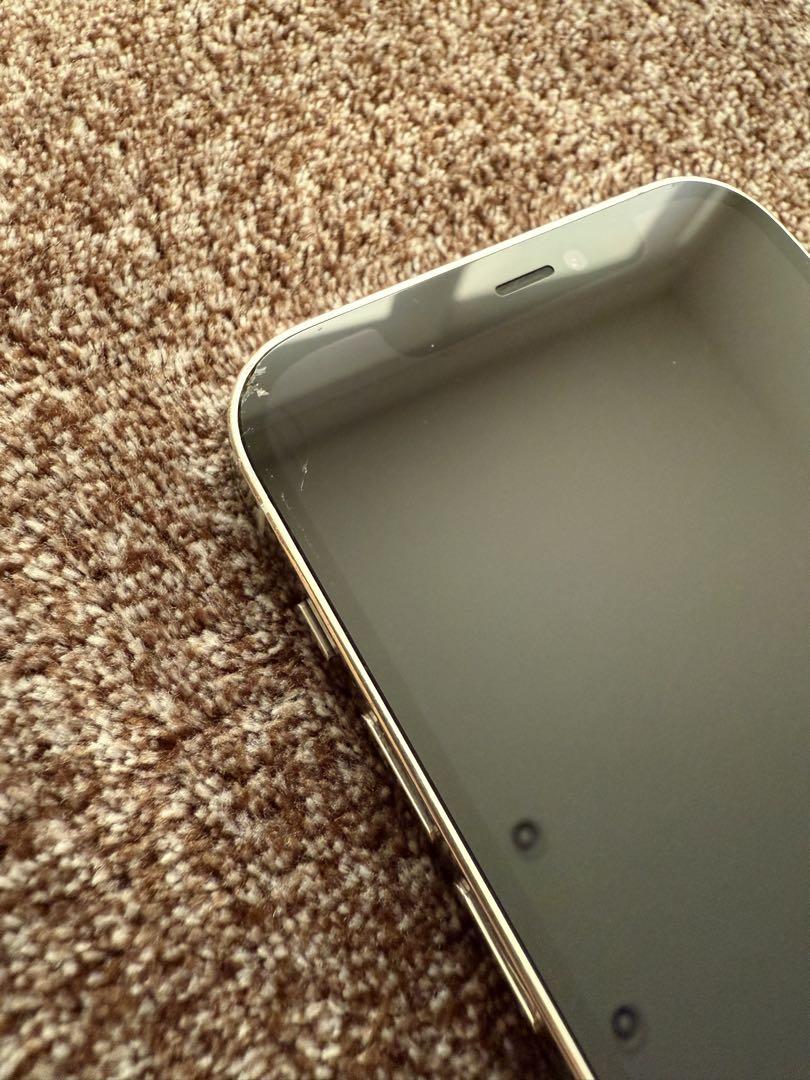 Apple iPhone12Pro