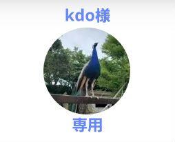 kdo様専用　11枚