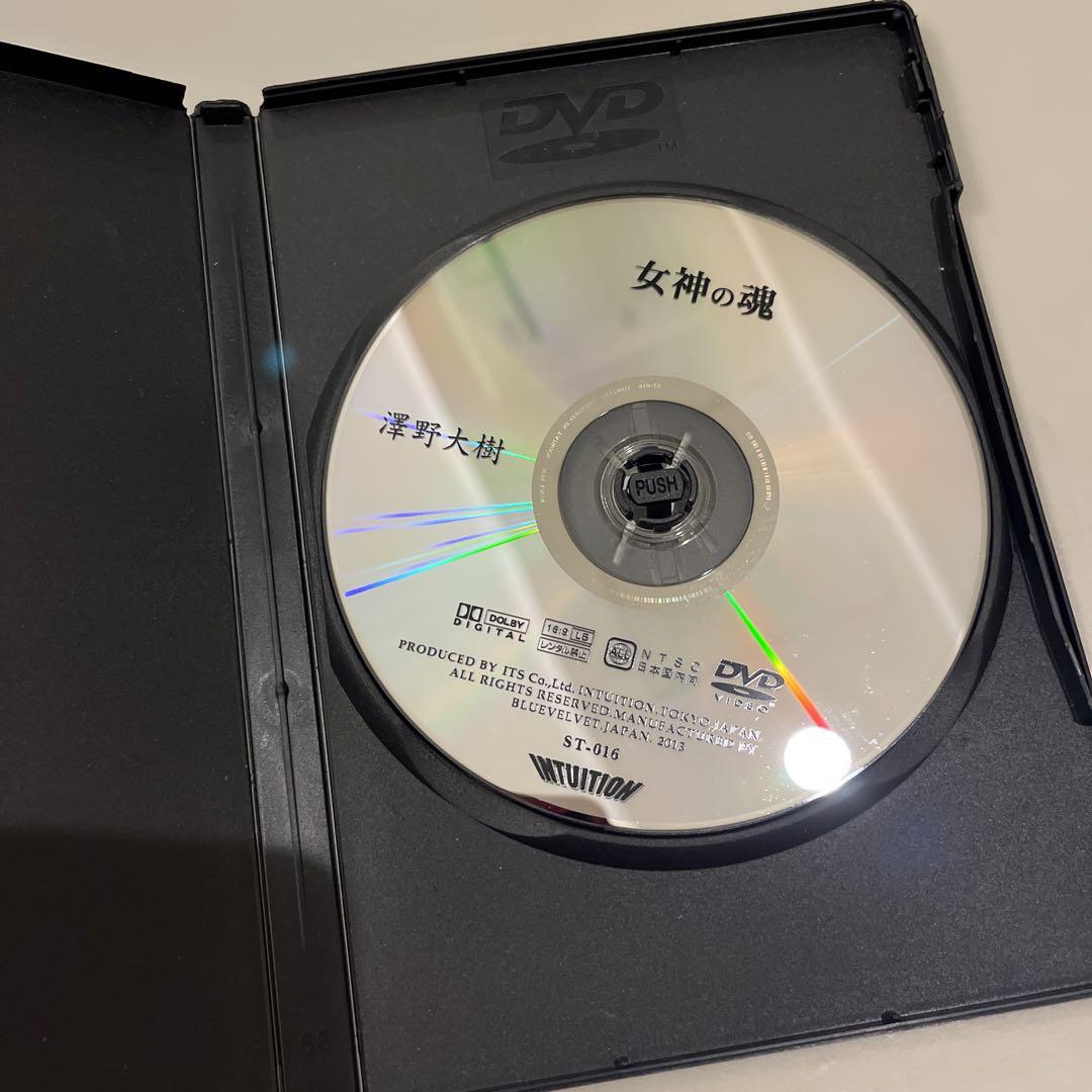 ☆年末セール！！☆澤野大樹DVD「縄文神アラハバキと核エネルギー」