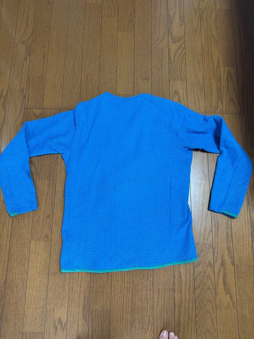 ブルー系M patagonia