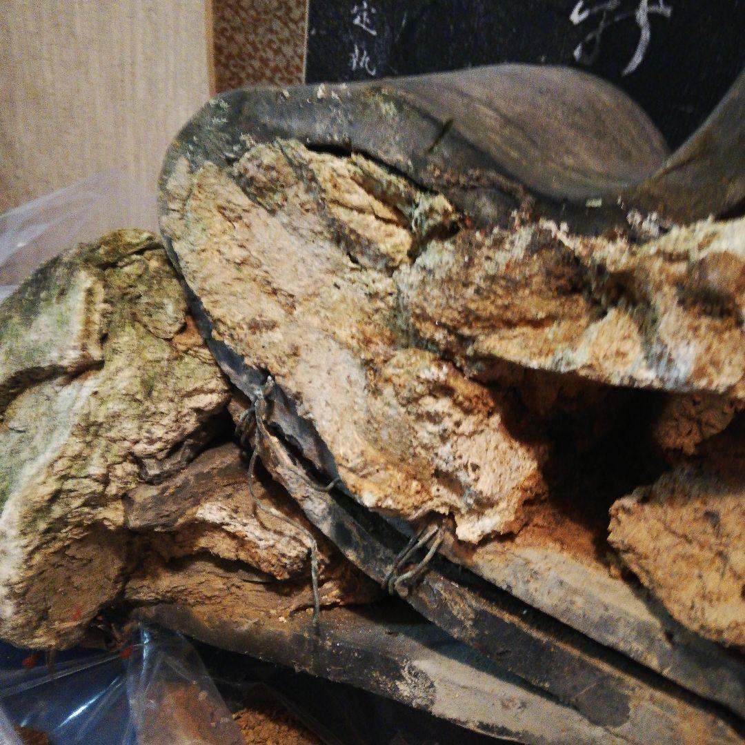 江戸時代後期大旧家屋敷大棟用宝珠古鬼瓦横幅８０センチ高さ４５センチ赤土漆喰付き品