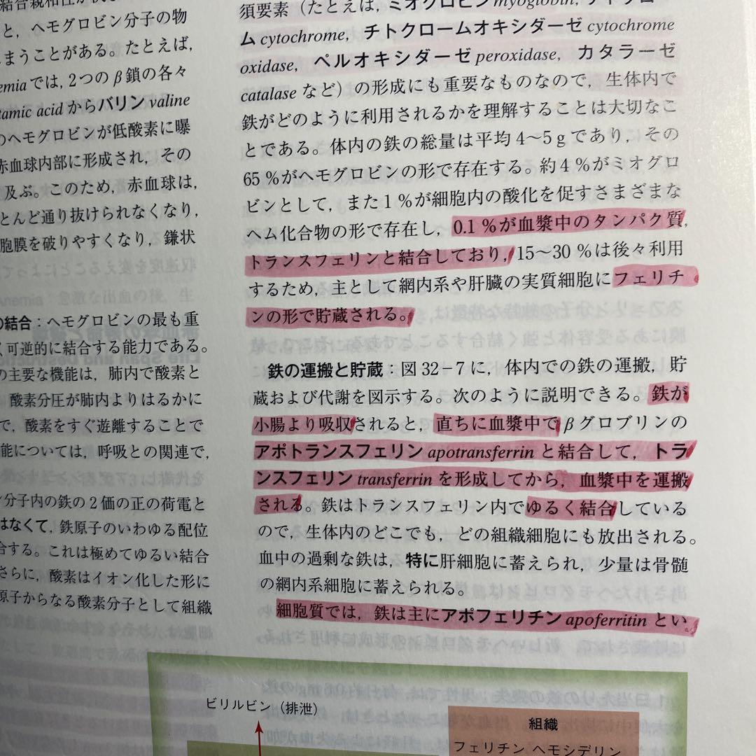 ガイトン生理学
