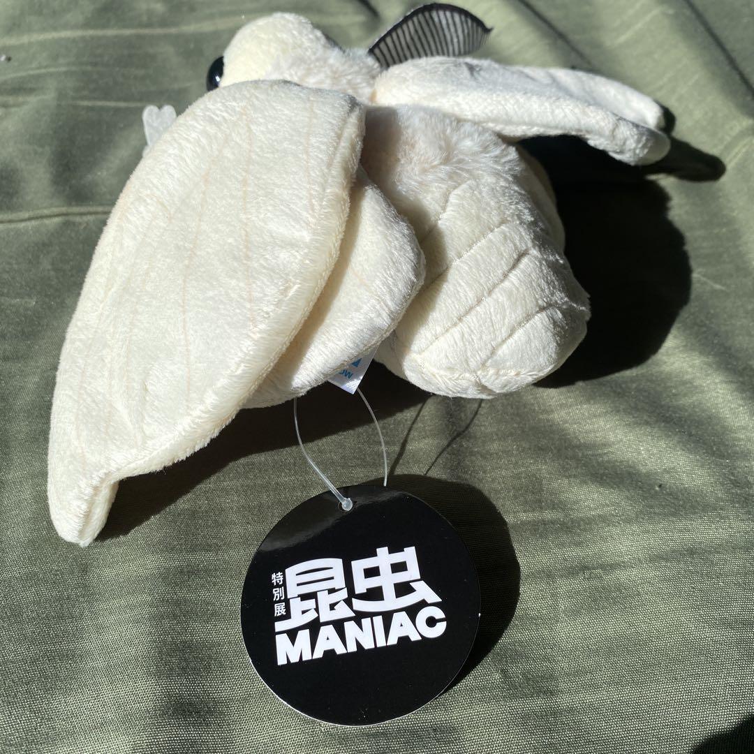 特別展 昆虫 MANIAC 限定 オリジナル 蚕蛾 ぬいぐるみ 新品未