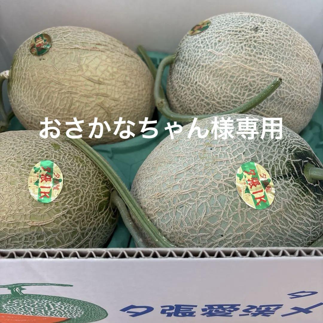 おさかなちゃんクール便 秀品 北海道 「夕張IKメロン」 4玉 8キロ