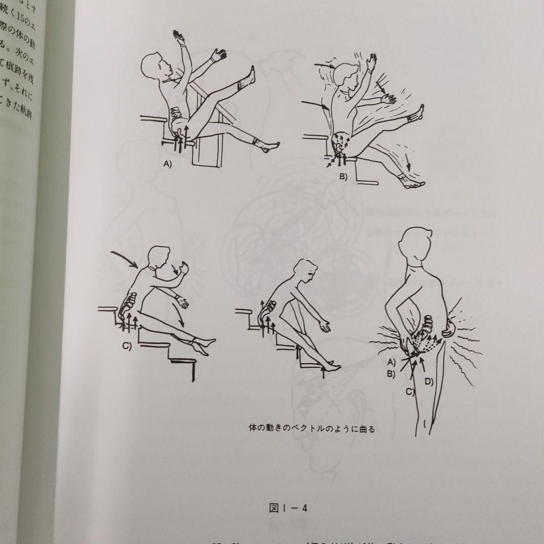 国産通販 ソマトエモーショナルリリース 感情 解放とその向こう fKTbB-m62205611041 体性 豊富な即納