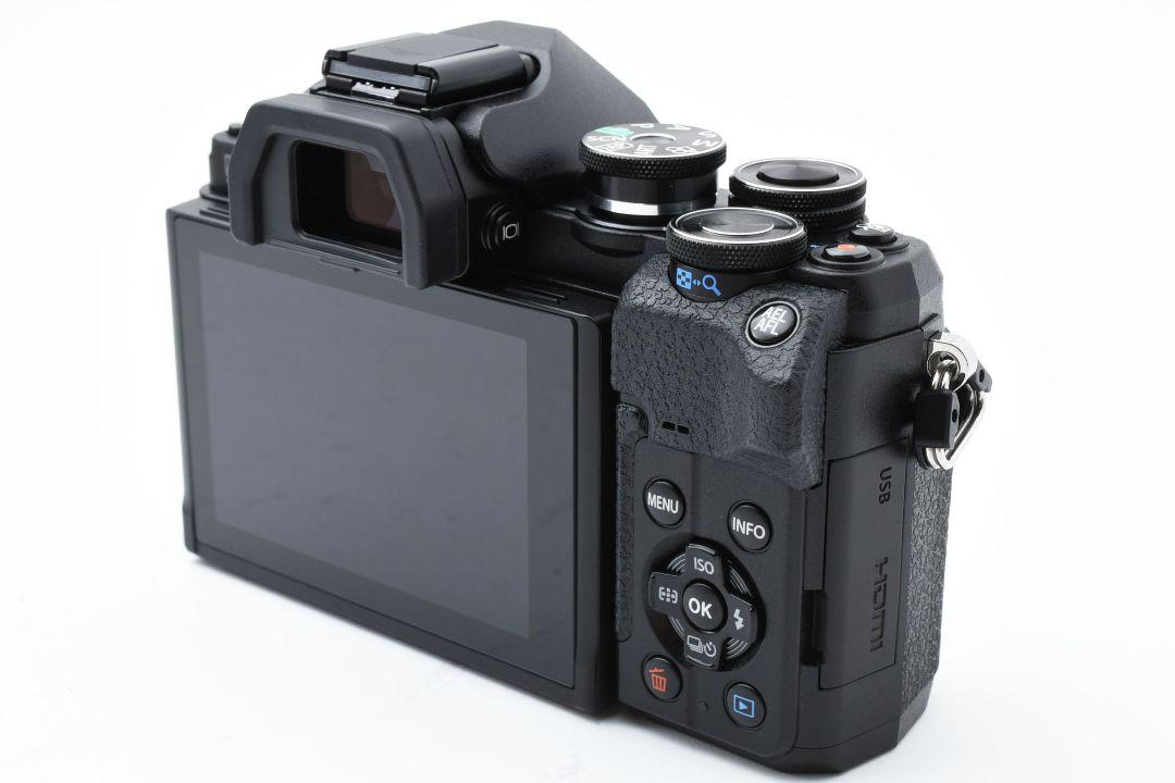 E-M10