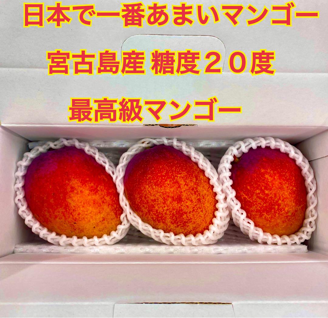 日本で一番あまいアップルマンゴー宮古島産 糖度20度　 最高級マンゴー 日本で一番あまいマンゴー宮古島産 糖度20度 最高級マンゴー