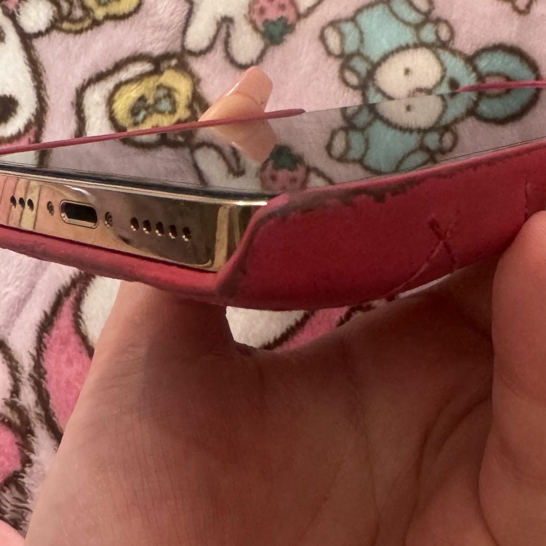 Christian Dior iPhoneケース iPhone13pro