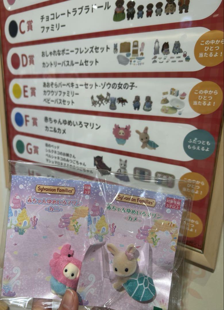 ゆめいろマリン　カニ・カメ