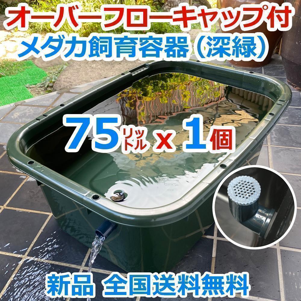 メダカ飼育ケース 75㍑深緑x1個 オーバーフロー加工済 金魚飼育容器ビオトープ