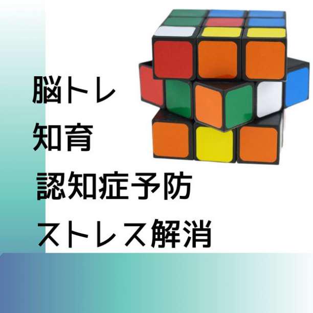 ルービックキューブ 3×3×3 脳トレ 知育玩具 2個 暇つぶし