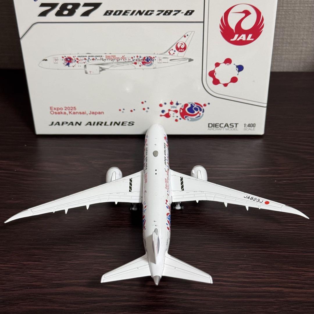 Japan Airlines Boeing 787-8 