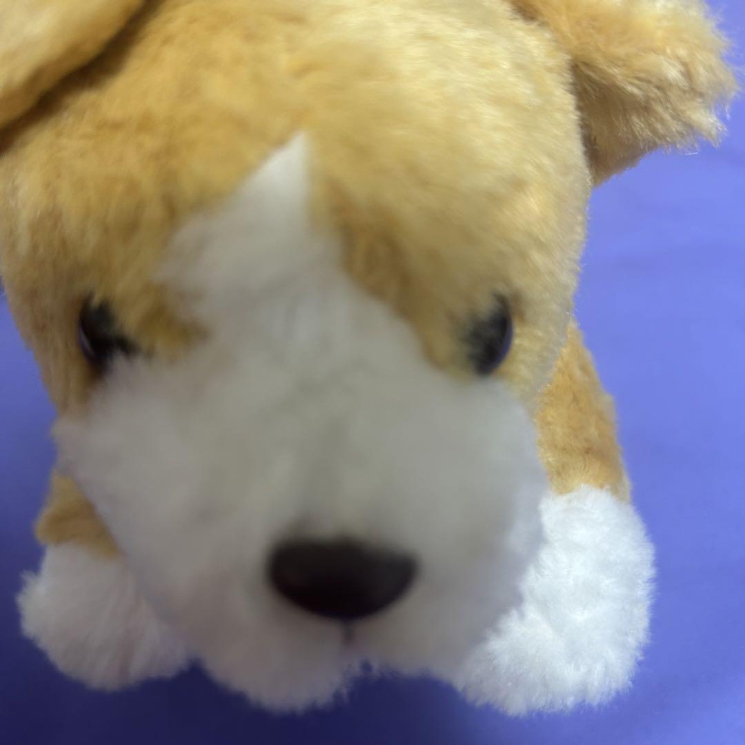 希少！　モンスイユ パプス　Ｓ コーギー ぬいぐるみ モンスイユ パプスs コーギー ぬいぐるみ - メルカリ
