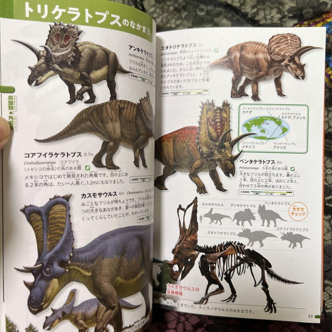 タイムセール 講談社の動く図鑑 ムーブmove 12冊 - メルカリ