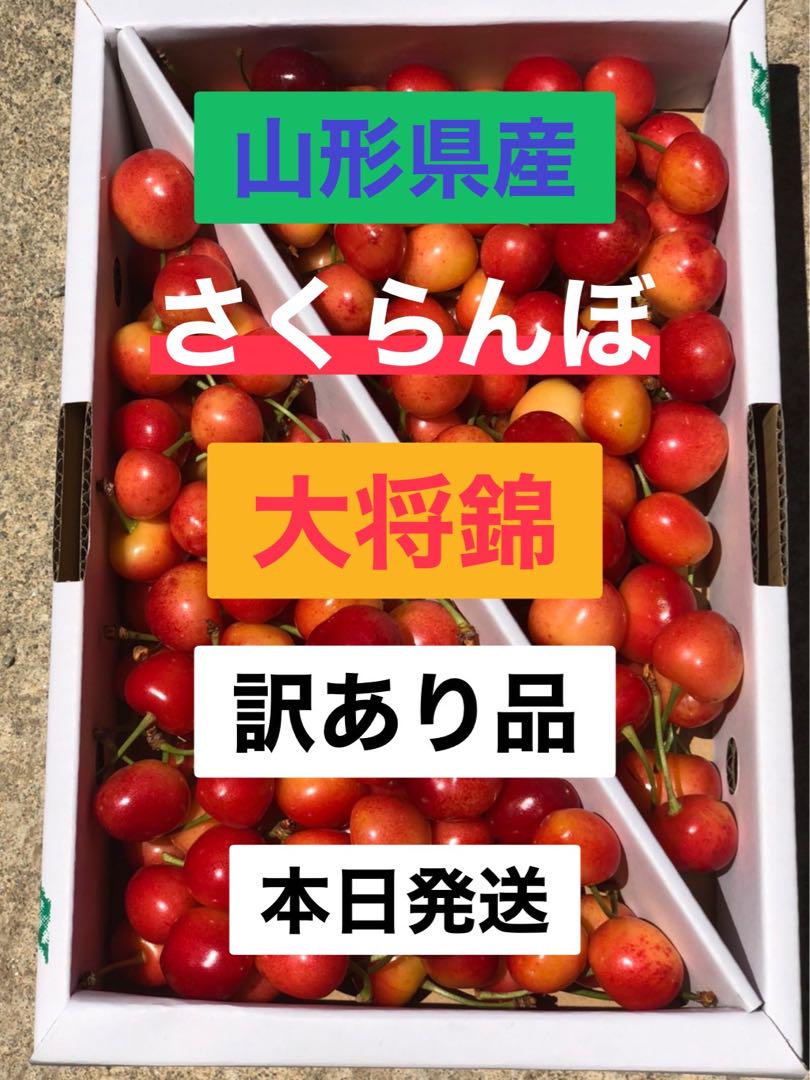 ゆきお　さくらんぼ 大将錦 訳あり 2kg ゆきお様専用 さくらんぼ 大将錦 訳あり 1kg - メルカリ