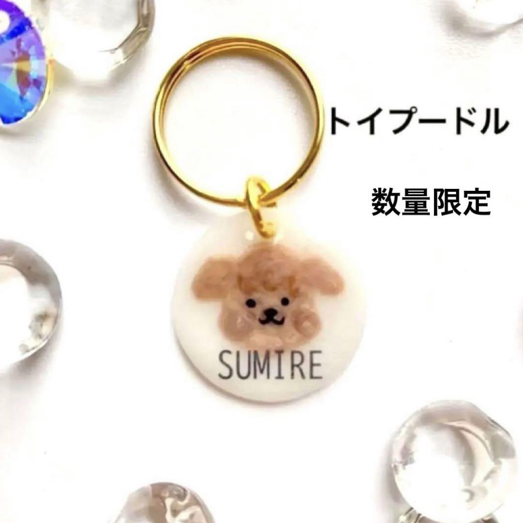 オーダー迷子札【 匿名配送 】トイプードル　名札　犬　SUMIRE 数量限定中