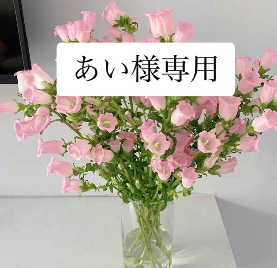 専用