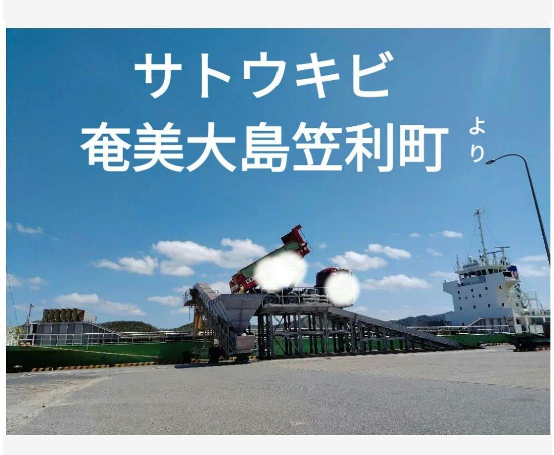 10㌔ キビ糖 ザラメ 砂糖 ざらめ 黒糖 調味料 粗糖 キビ砂糖 奄美農家 10㌔ キビ糖 ザラメ 砂糖 ざらめ 黒糖 調味料 粗糖 キビ砂糖 奄美農家