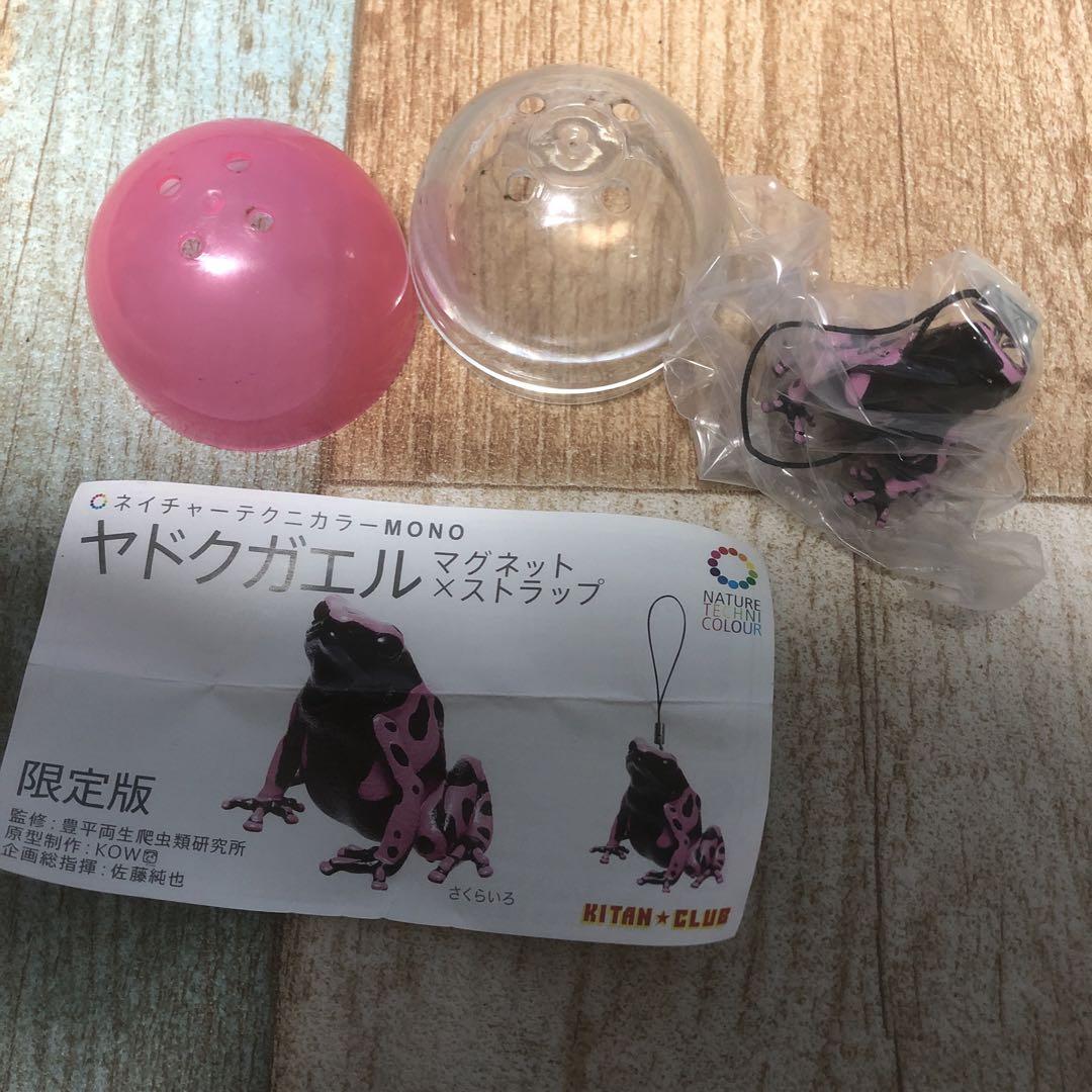ワンフェス限定　ヤドクガエル　さくらいろ　ストラップ